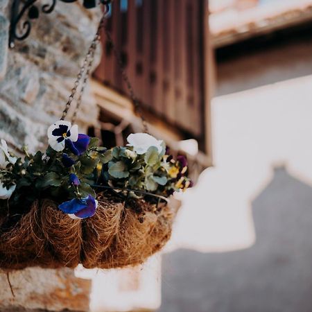 Le Chalet Du Village Chambave Zewnętrze zdjęcie